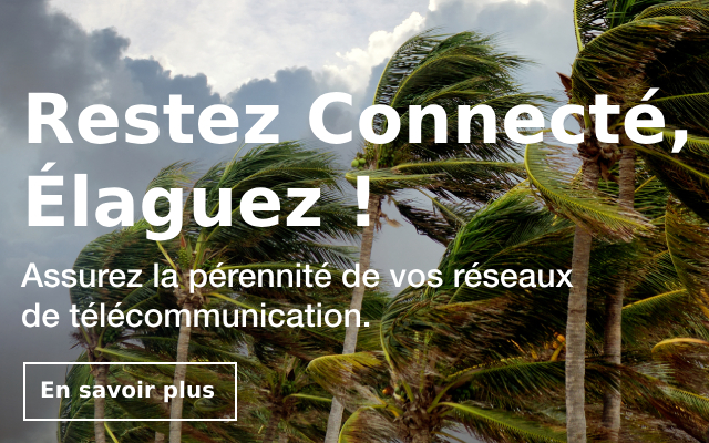 Restez Connecté, Élaguez !