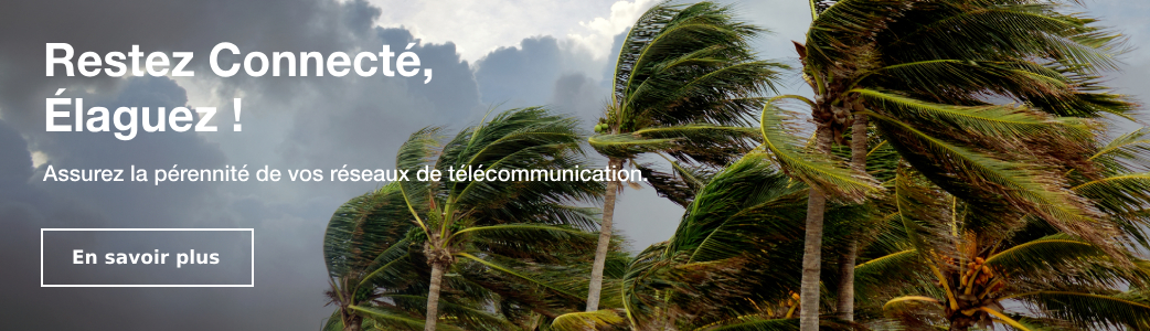 Restez Connecté, Élaguez !
