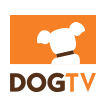 DOG TV